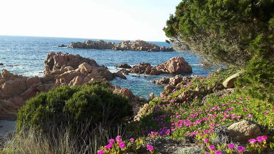 Casa Vacanze Villa Sandrina Costa Paradiso Exterior foto